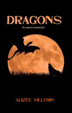 Face couverture dragons et autres bestioles poche modifie 1